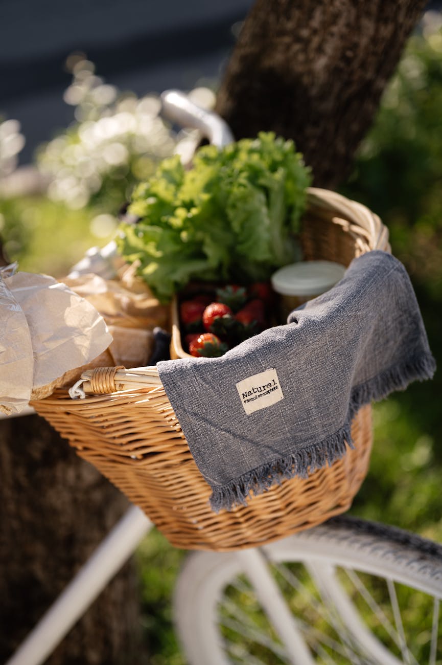 Eco-Friendly Shopping: A Guide to Sustainable Fashion Brands