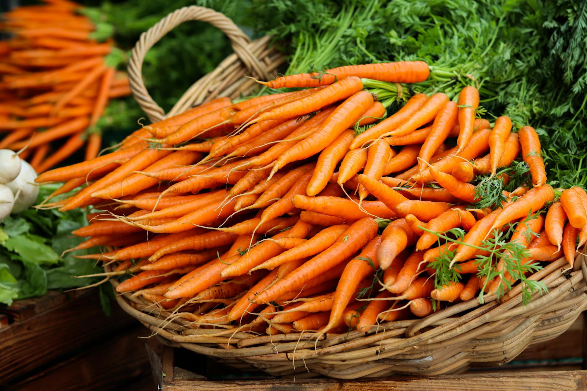 The Rise of Eco-Friendly Shopping: How Consumers are Embracing Sustainable Practices