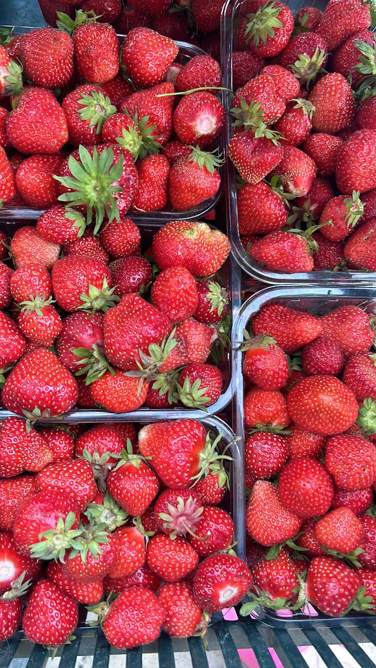 The Rise of Sustainable Shopping: How Consumers Can Make Ethical Choices